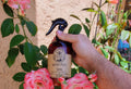 Garden Pests Spray