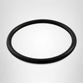 Hayward SPX1022CZ2 Seal Plug O-Ring